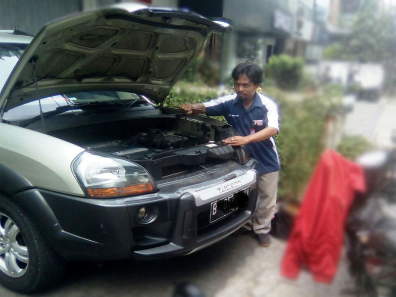 lutfi dan tucson